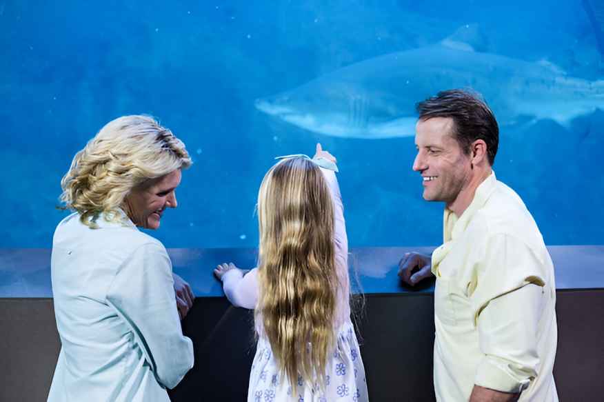 MOVIE RECOMMENDATION: SEAWATER MYSTERY & HEALING